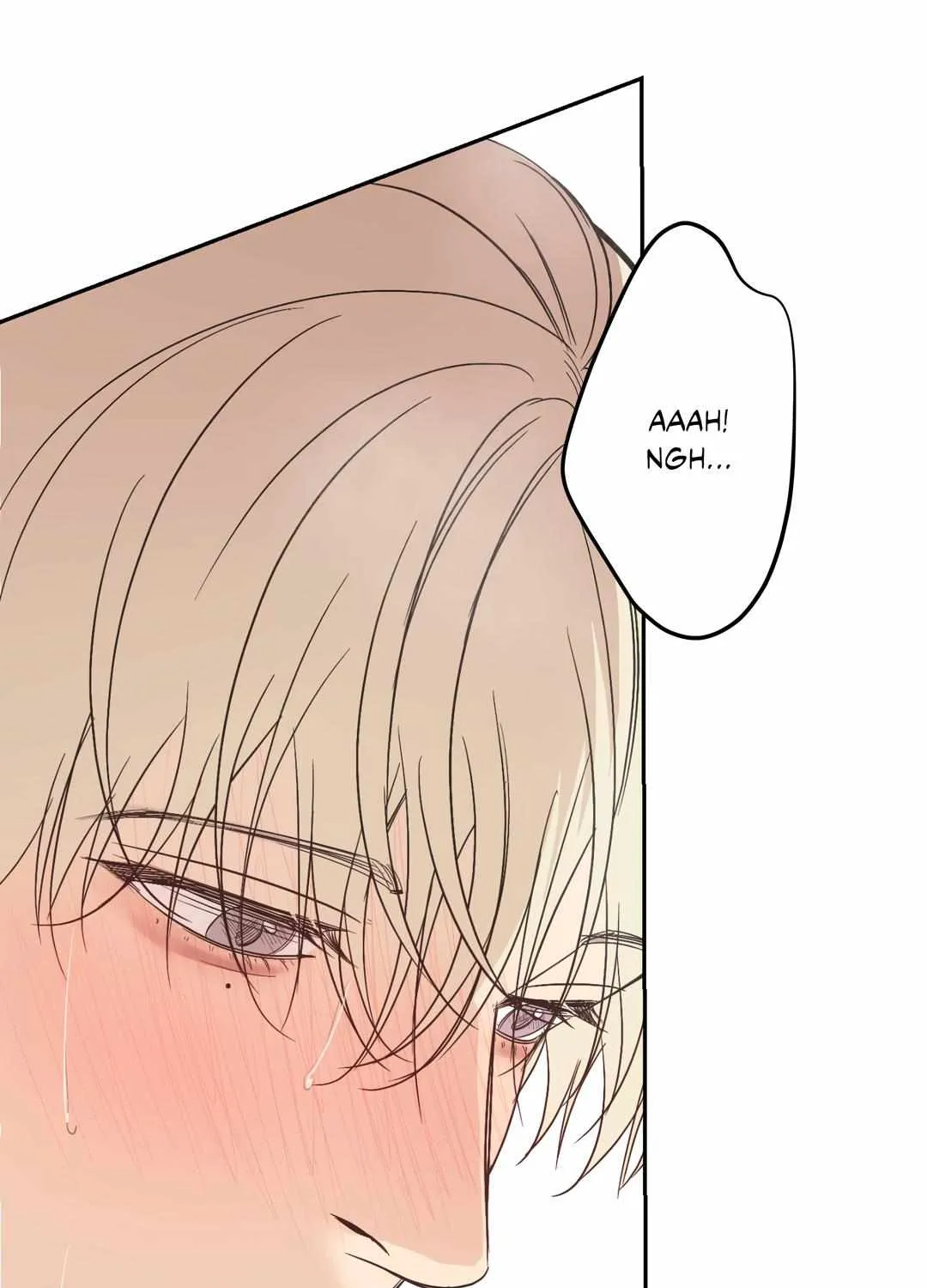 Backlight Chapter 30 page 44 - 