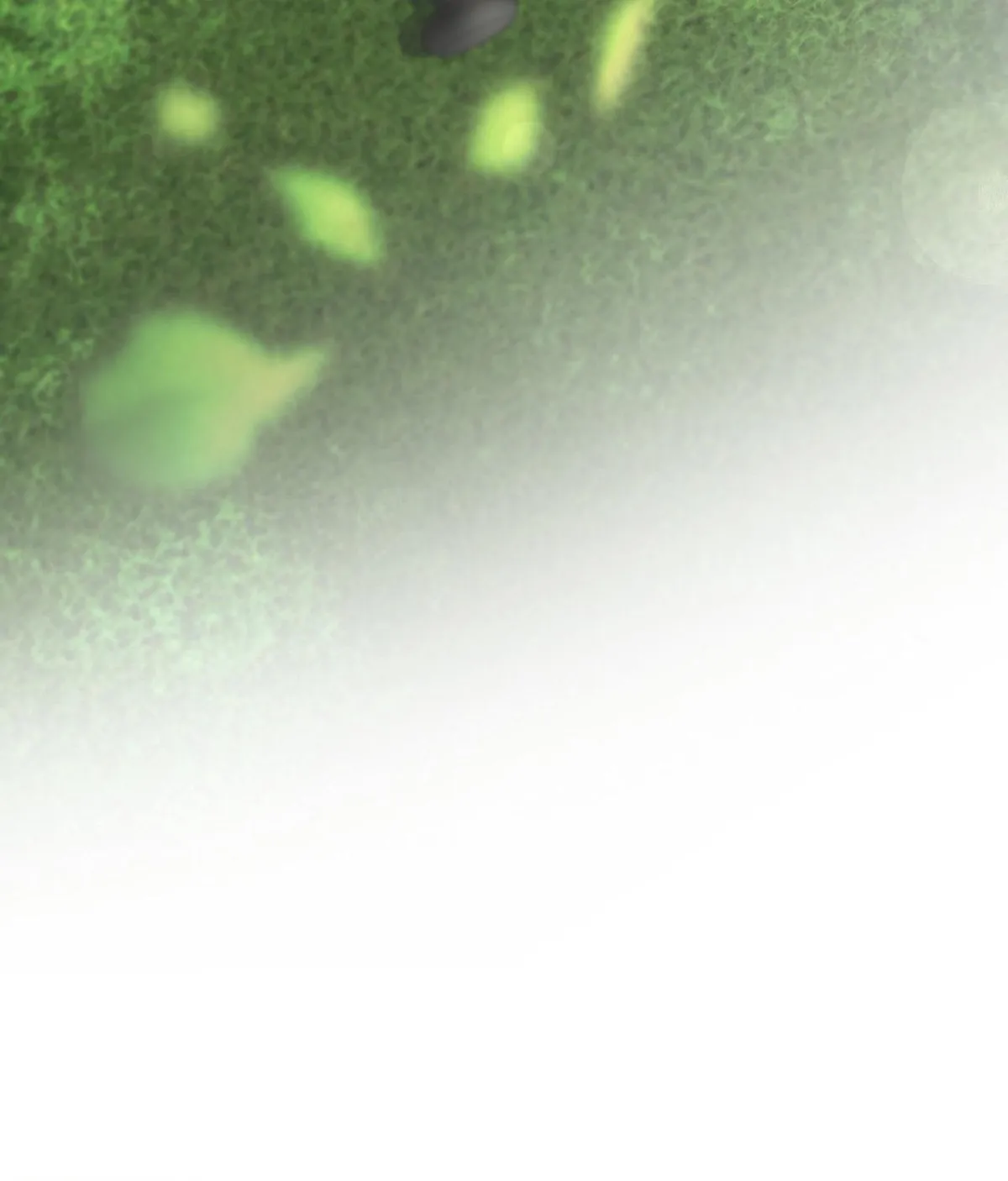 Bad Not Bat Chapter 10 page 205 - 