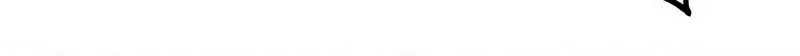 Baek XX Chapter 86 page 35 - 