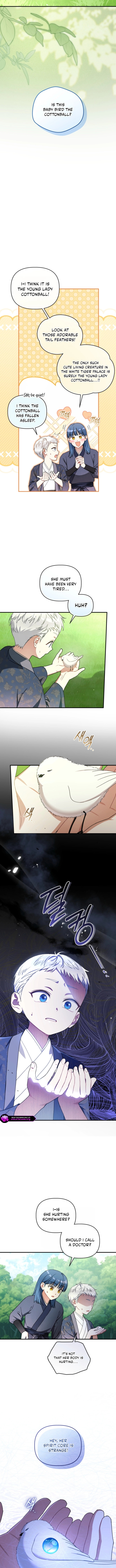 Baeko Gamunui Agi Sommungchi Chapter 8 page 8 - 