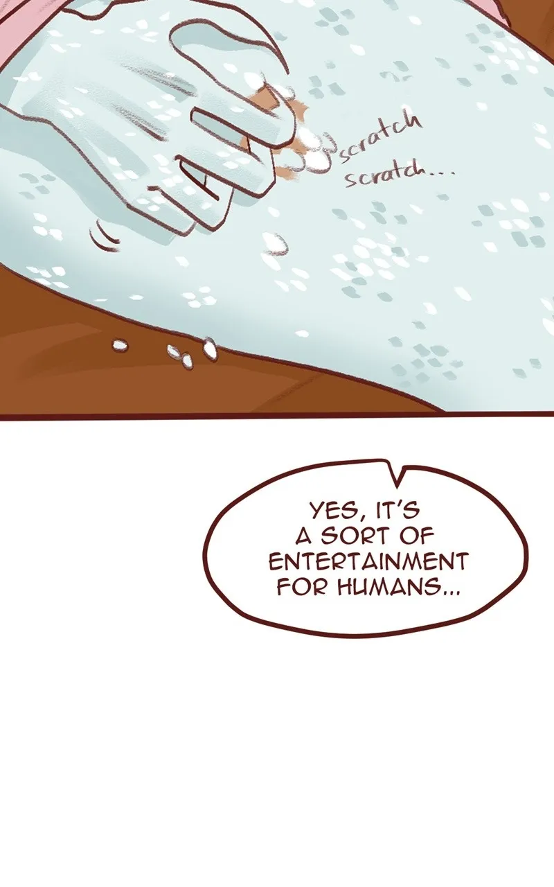 Bailin and Li Yun Chapter 51 page 11 - 