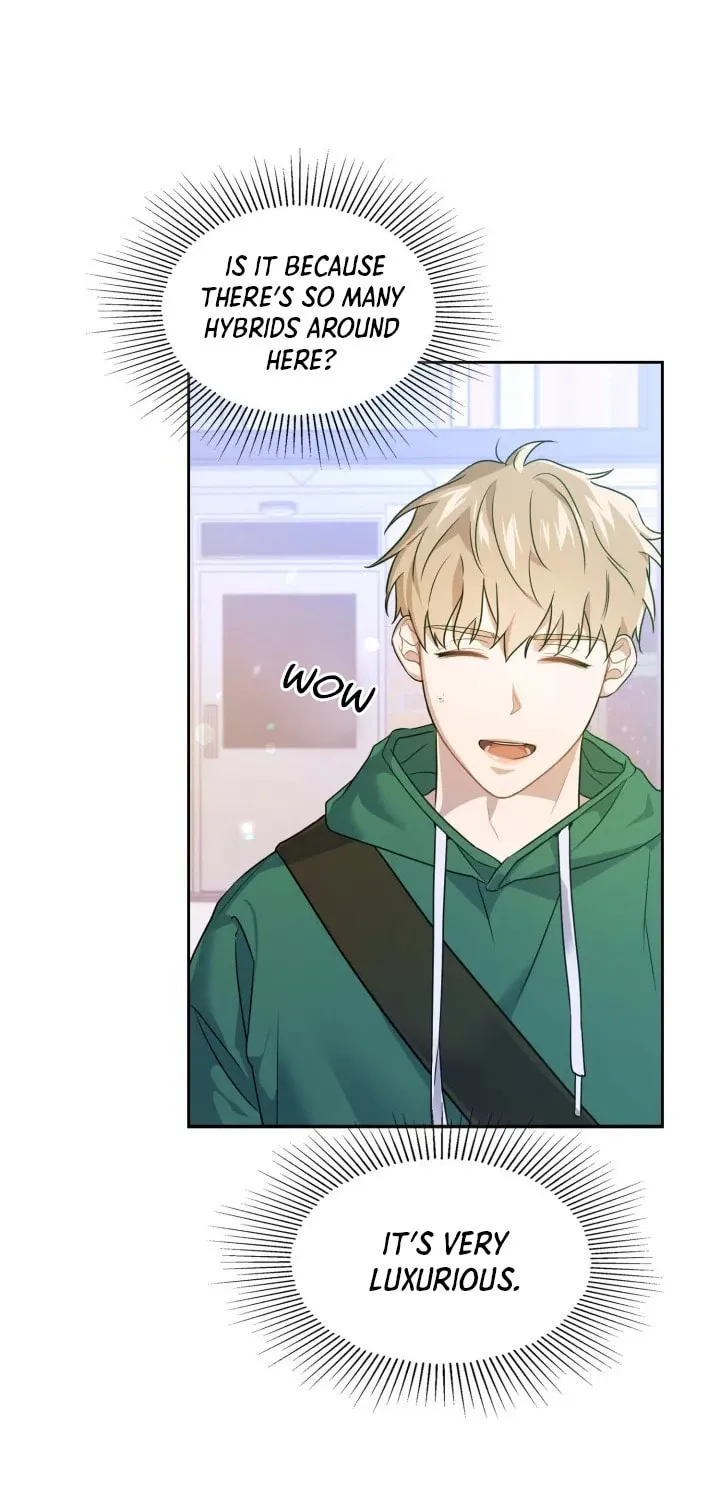 BAITS Chapter 1 page 13 - 