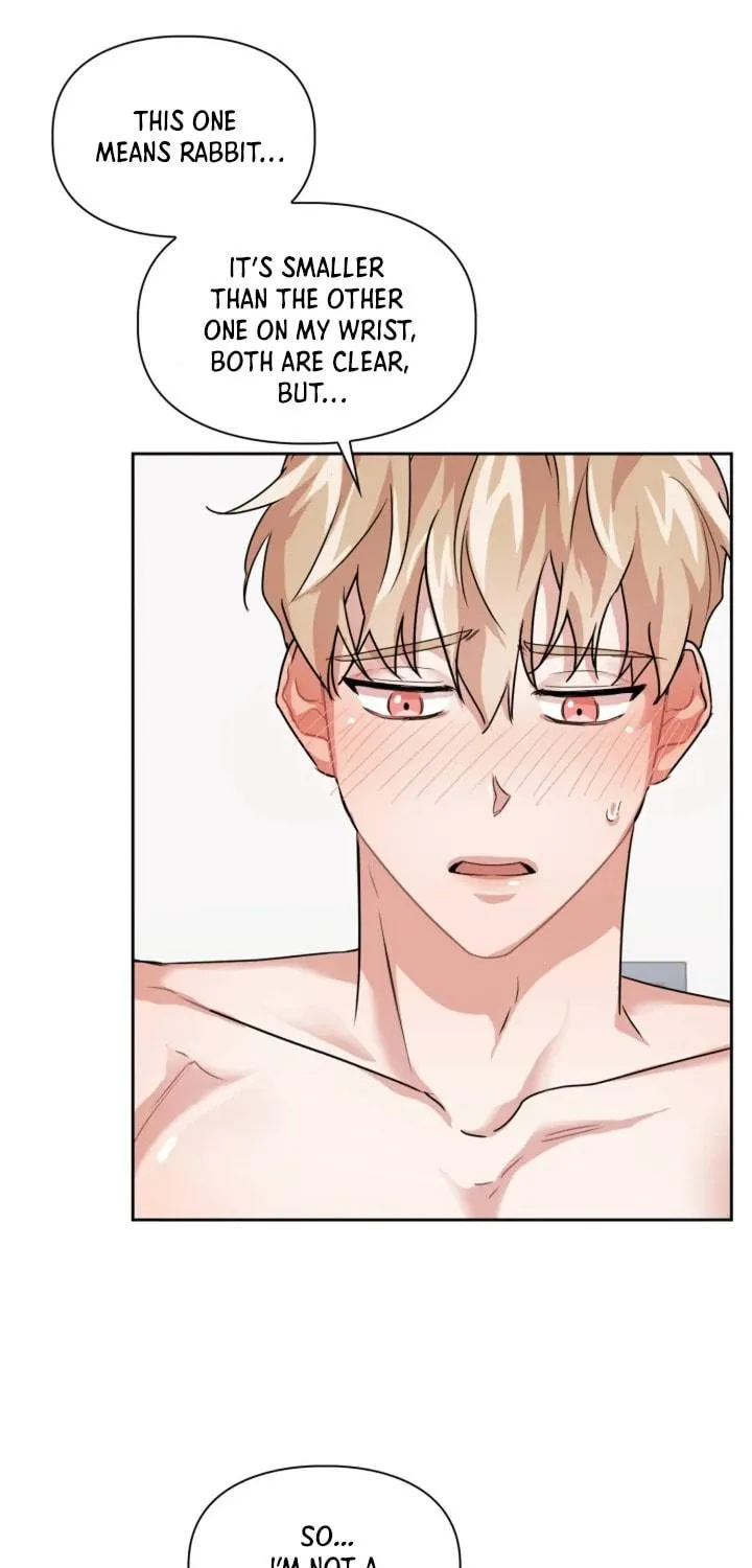 BAITS Chapter 10 page 69 - 