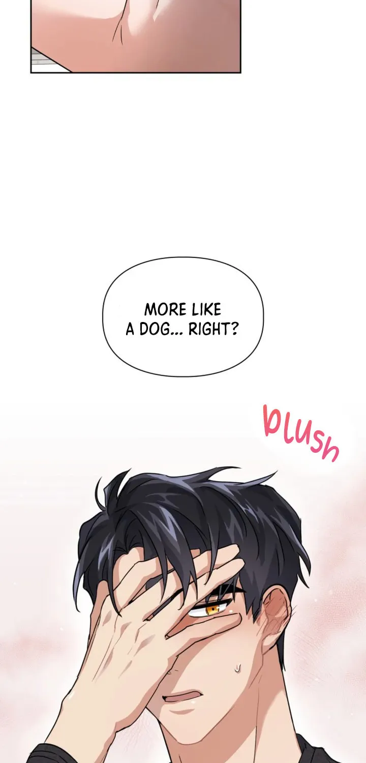 BAITS Chapter 10 page 71 - 