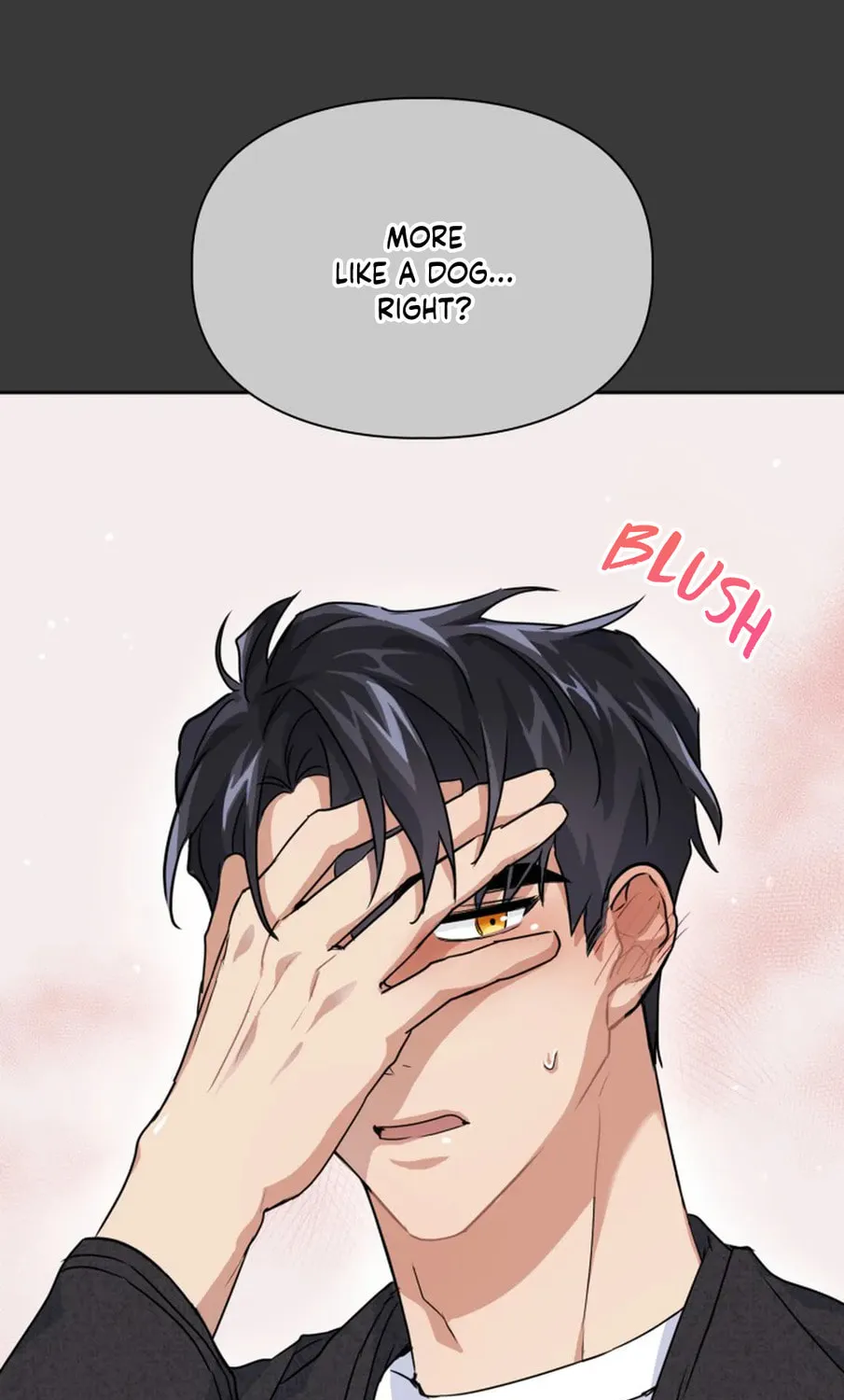 BAITS Chapter 11 page 16 - 