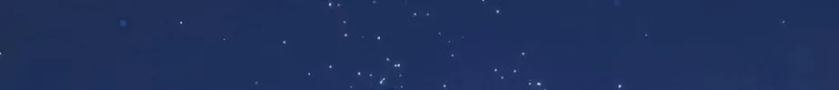 BAITS Chapter 13 page 19 - 