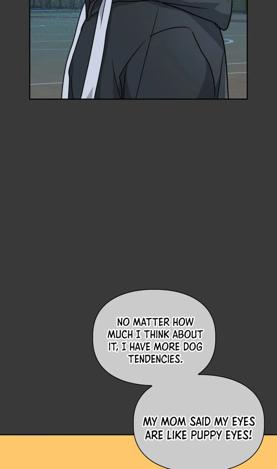BAITS Chapter 13 page 44 - 