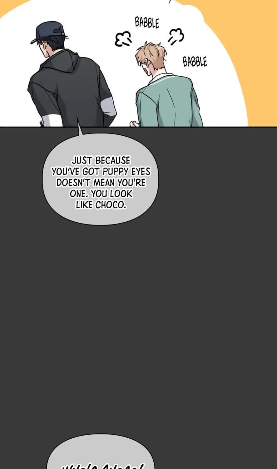 BAITS Chapter 13 page 46 - 