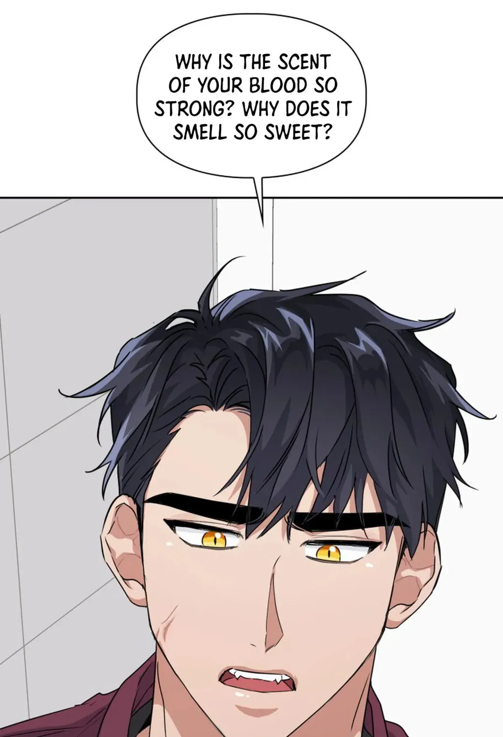 BAITS Chapter 14 page 65 - 
