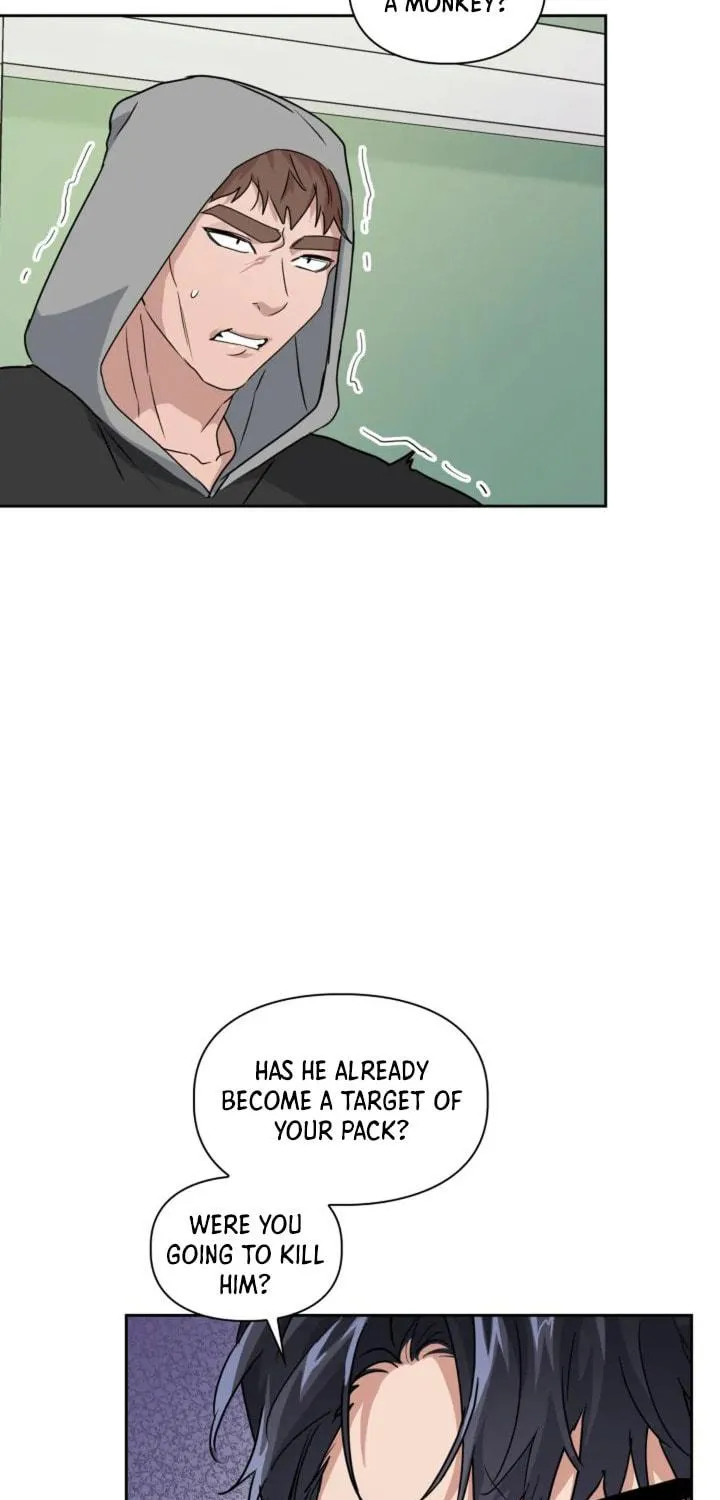 BAITS Chapter 15 page 40 - 