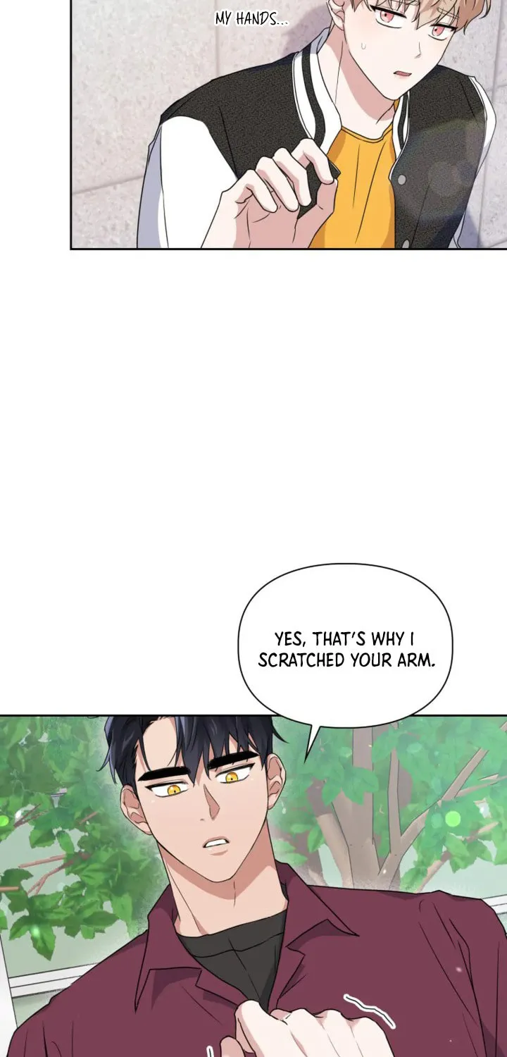BAITS Chapter 15 page 66 - 