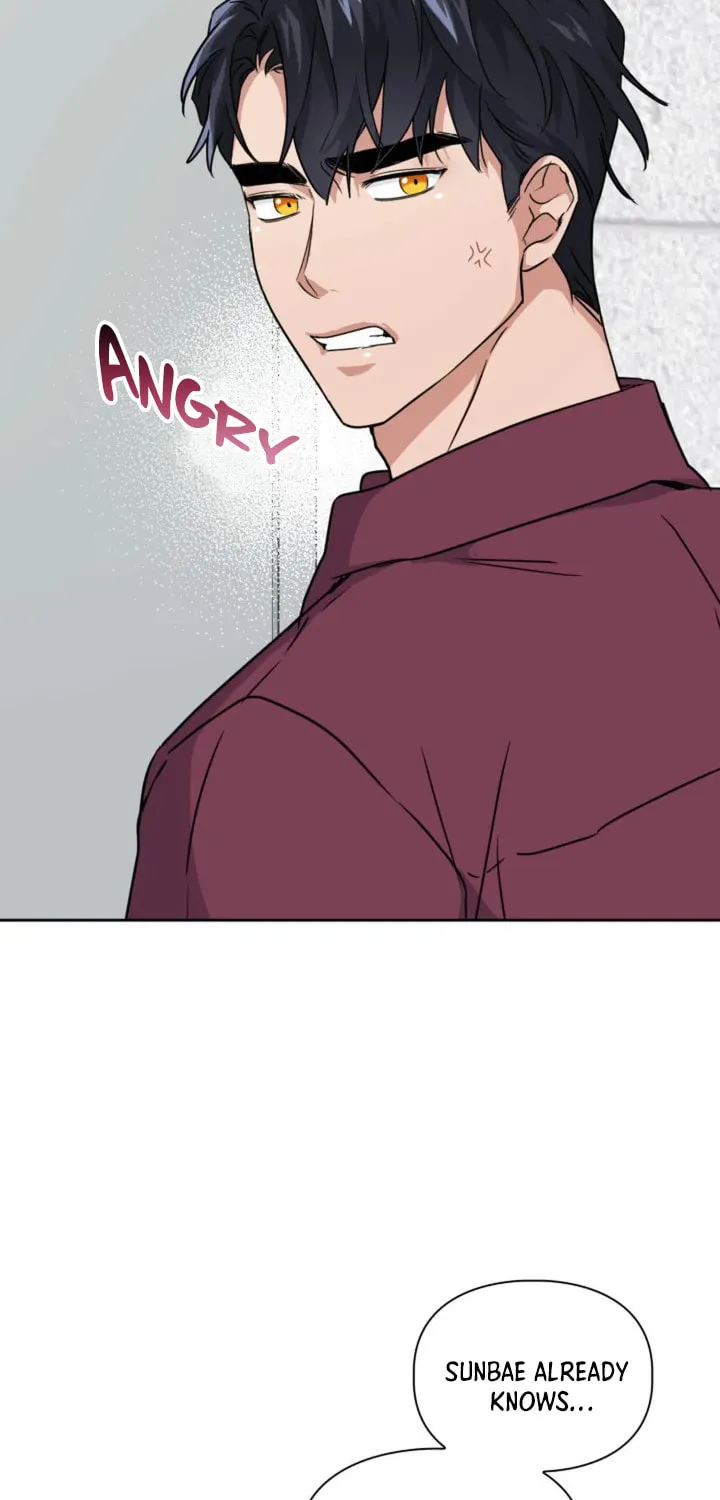 BAITS Chapter 16 page 26 - 