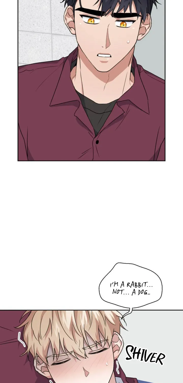 BAITS Chapter 16 page 42 - 