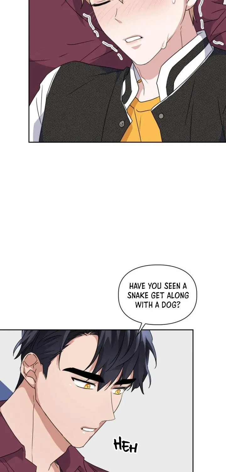 BAITS Chapter 16 page 46 - 