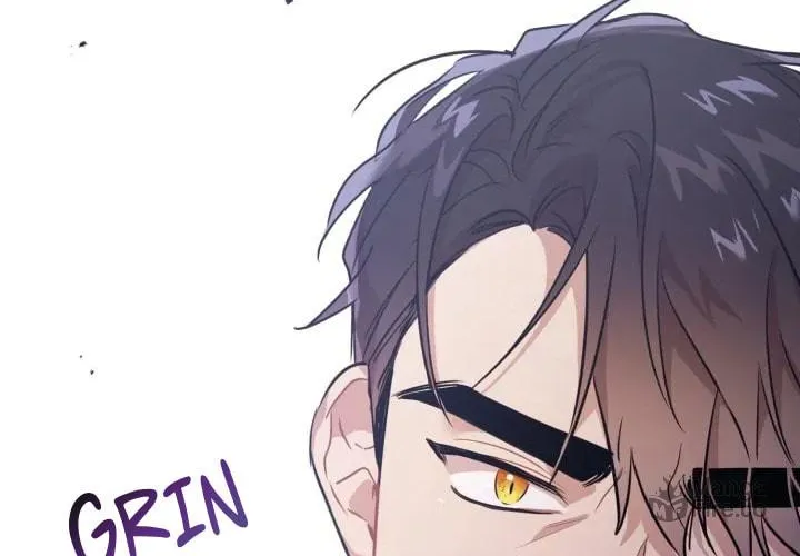 BAITS Chapter 3 page 17 - 
