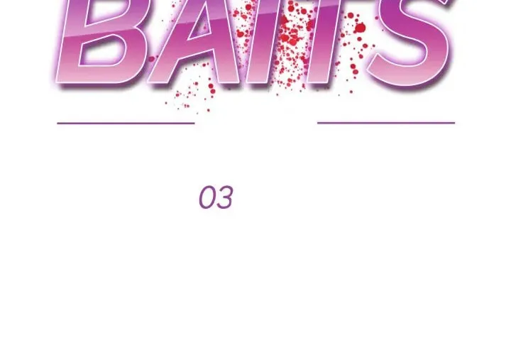 BAITS Chapter 3 page 19 - 