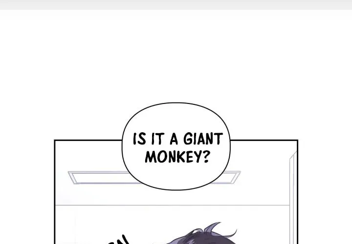 BAITS Chapter 3 page 51 - 