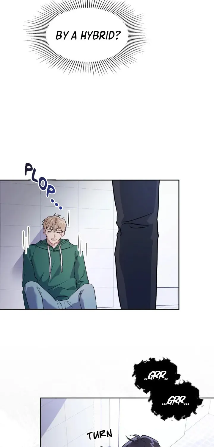 BAITS Chapter 3 page 7 - 
