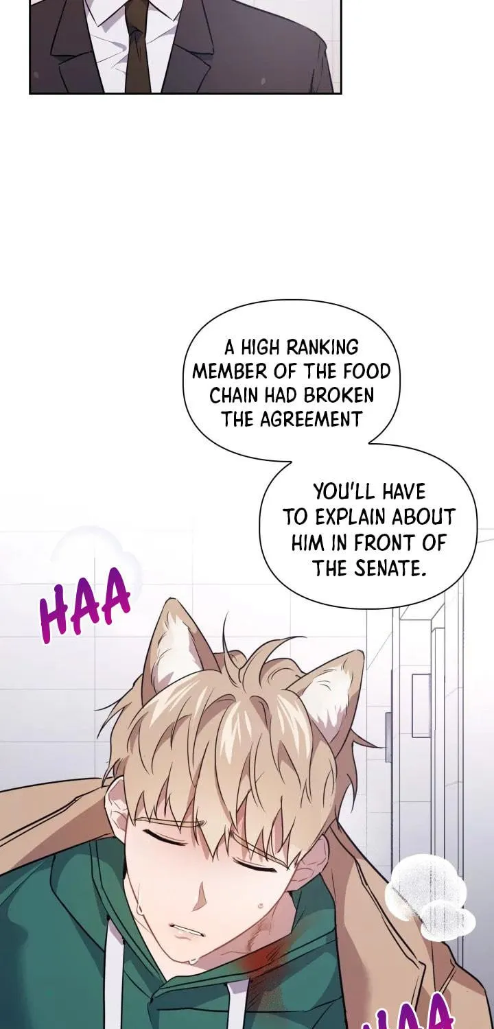 BAITS Chapter 3 page 61 - 