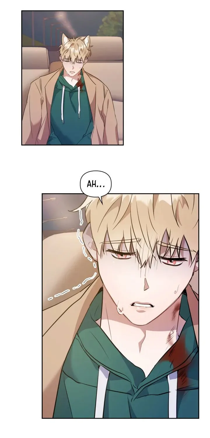 BAITS Chapter 3 page 69 - 
