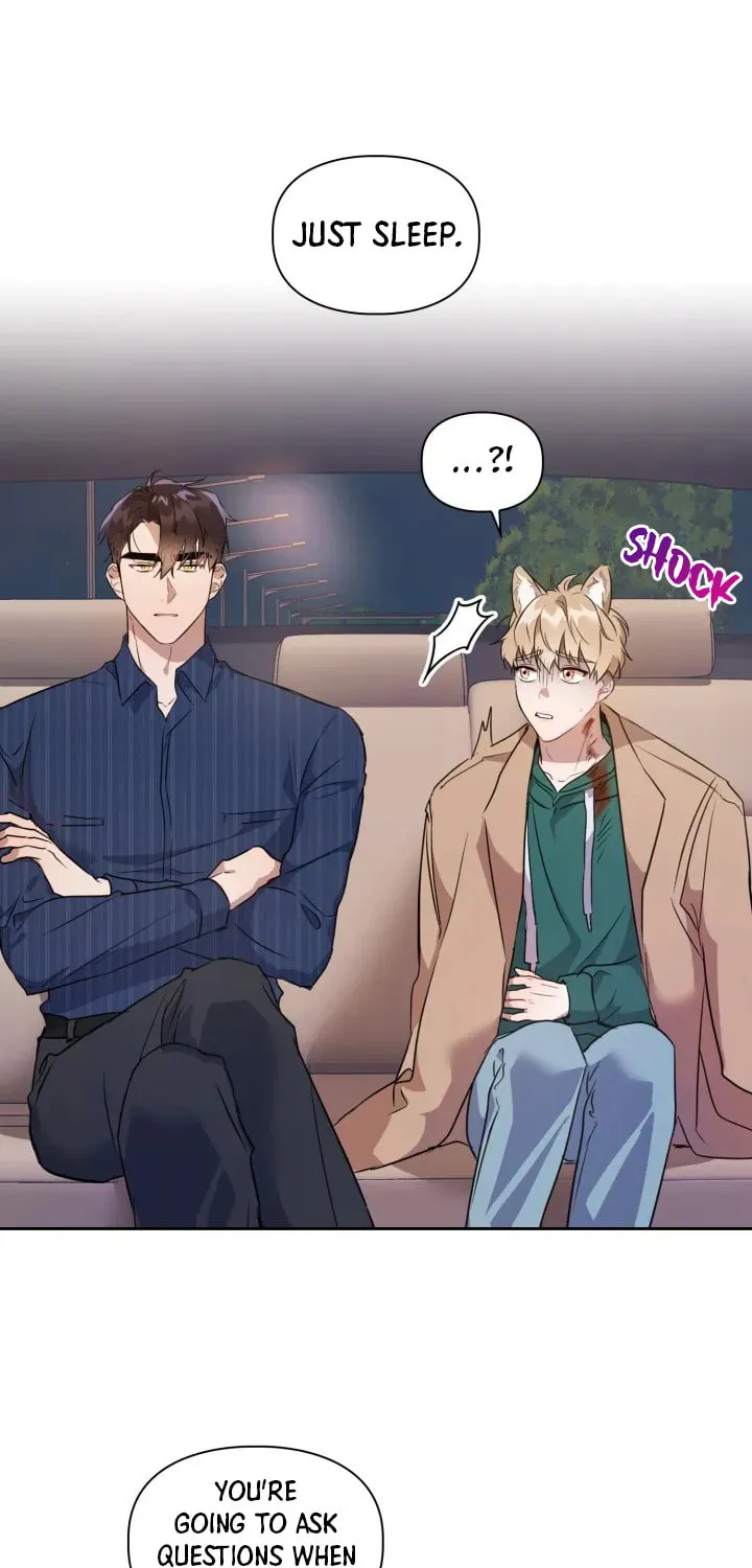 BAITS Chapter 3 page 70 - 