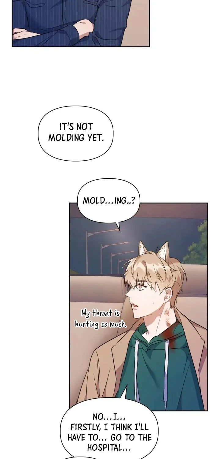 BAITS Chapter 3 page 72 - 