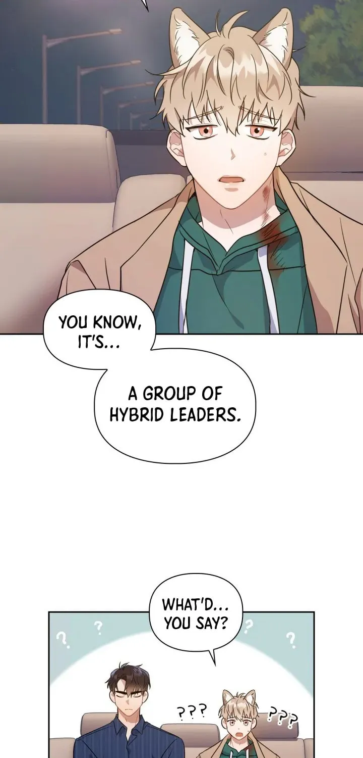 BAITS Chapter 3 page 76 - 