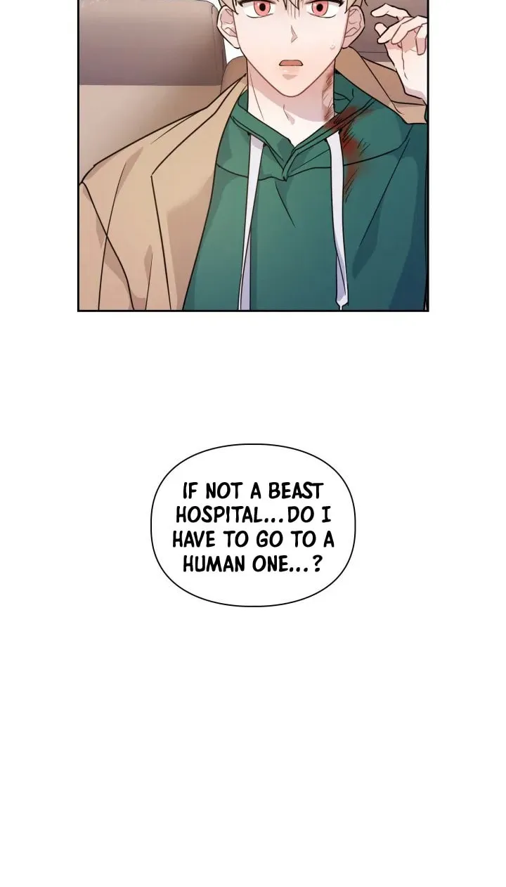 BAITS Chapter 3 page 80 - 