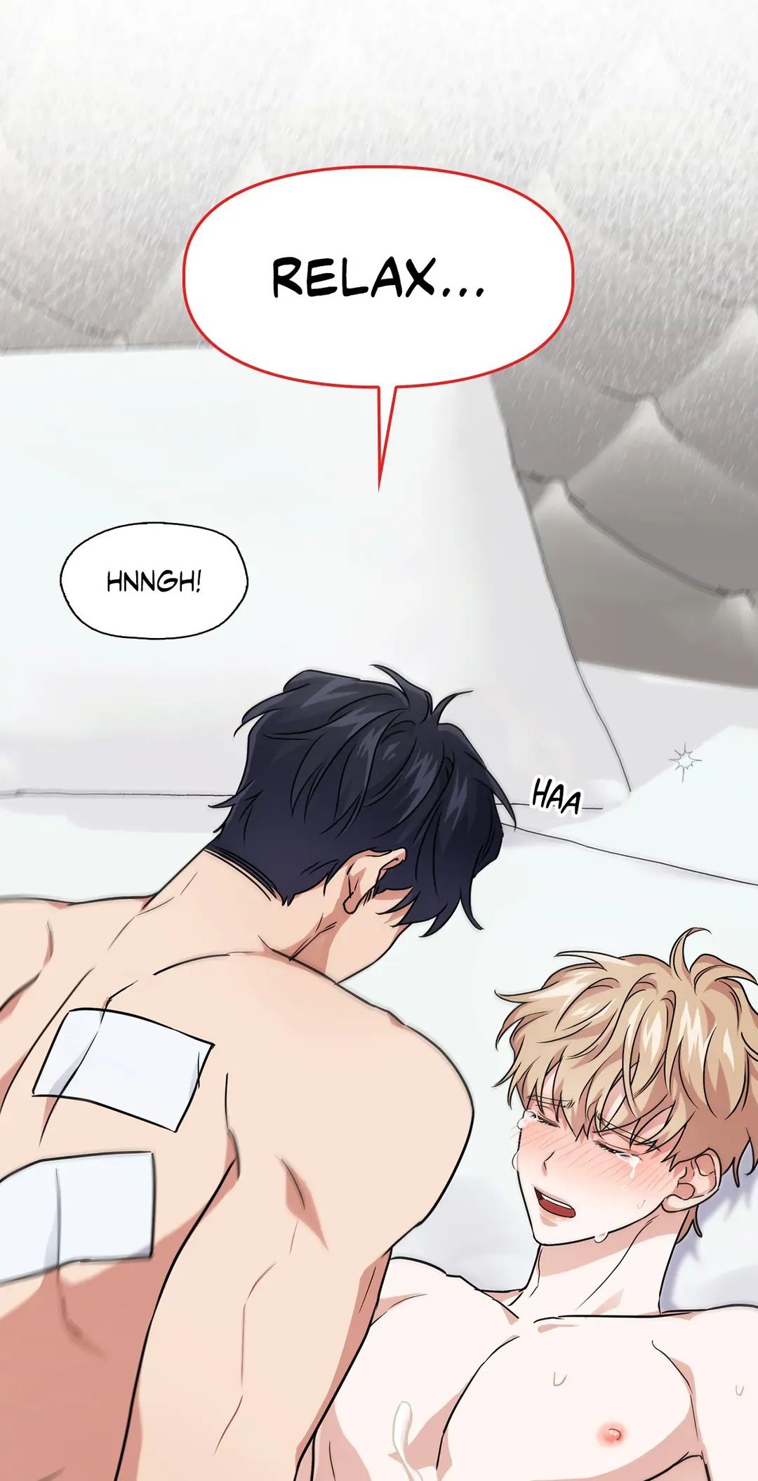 BAITS Chapter 30 page 60 - 
