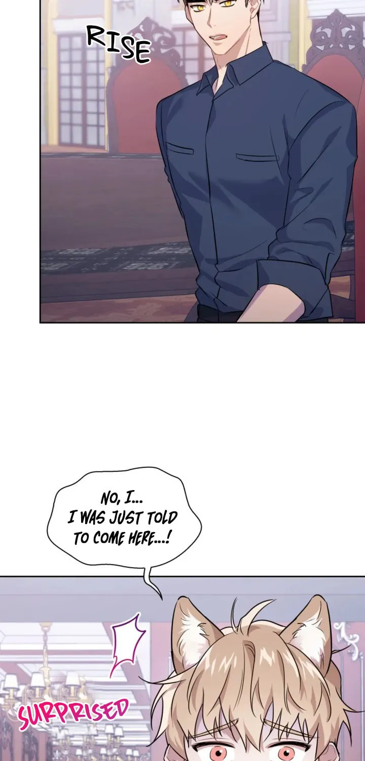 BAITS Chapter 4 page 50 - 