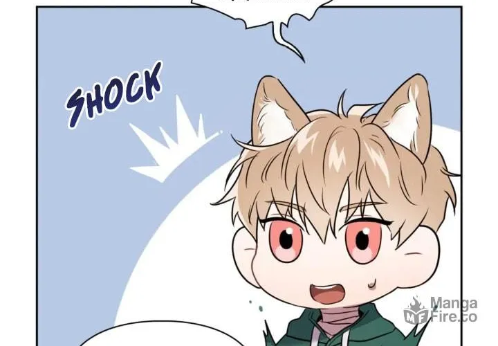 BAITS Chapter 4 page 55 - 