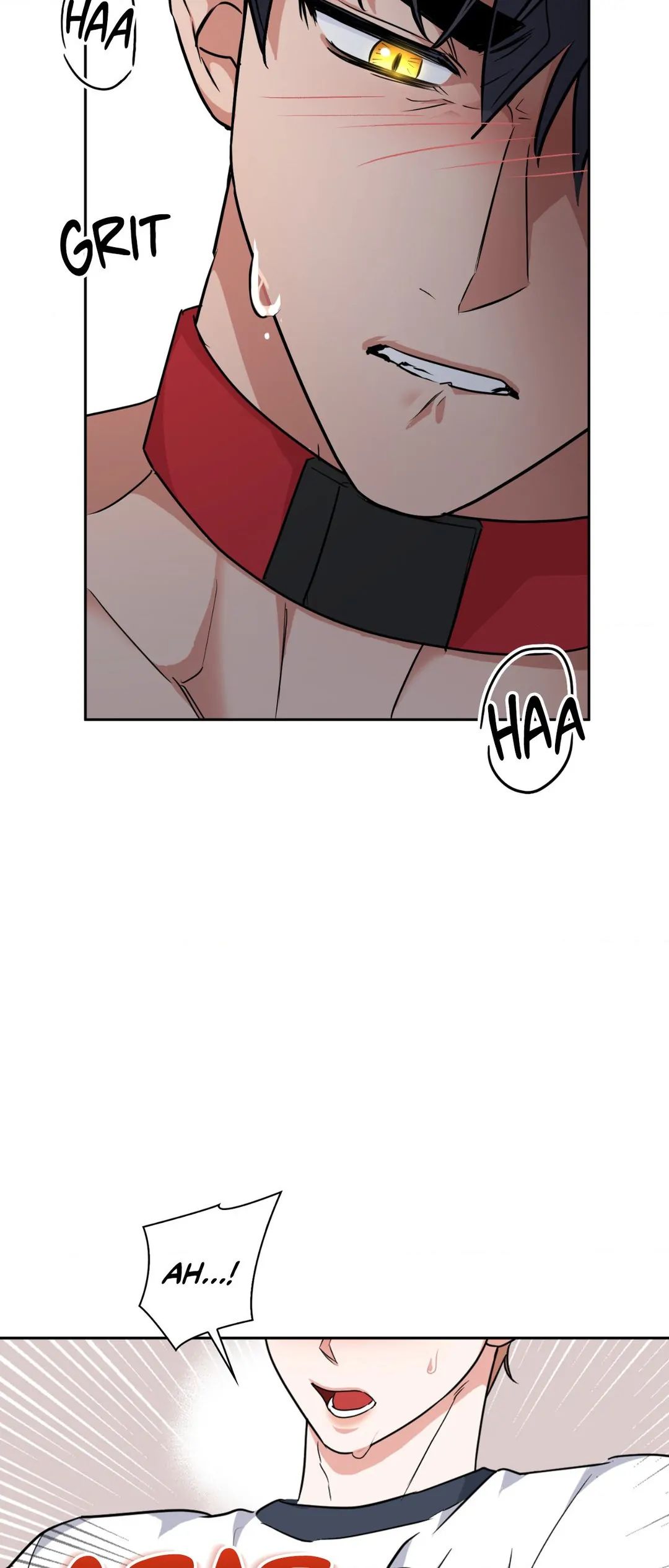 BAITS Chapter 40 page 6 - 