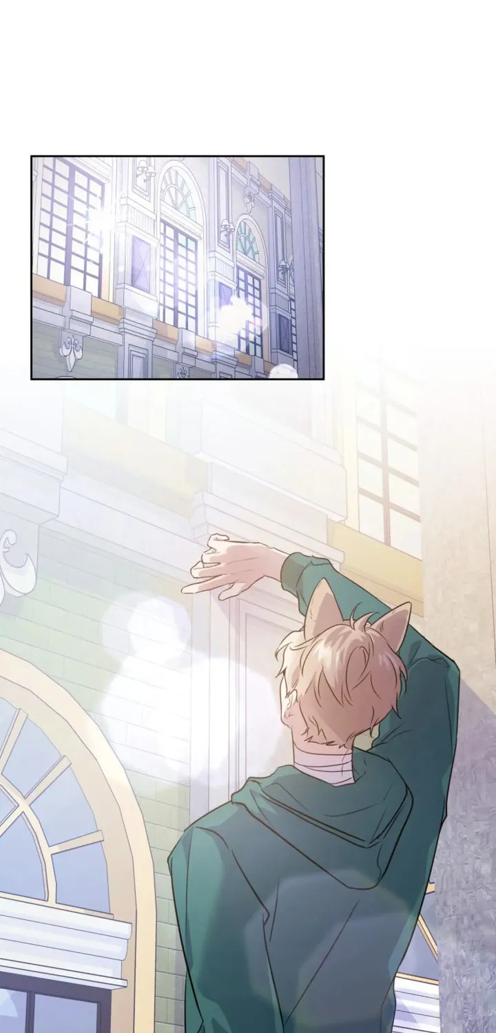 BAITS Chapter 5 page 41 - 