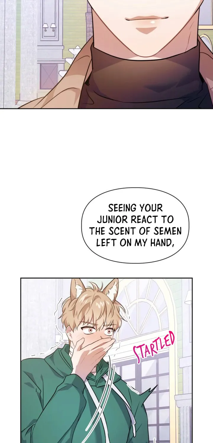 BAITS Chapter 5 page 61 - 