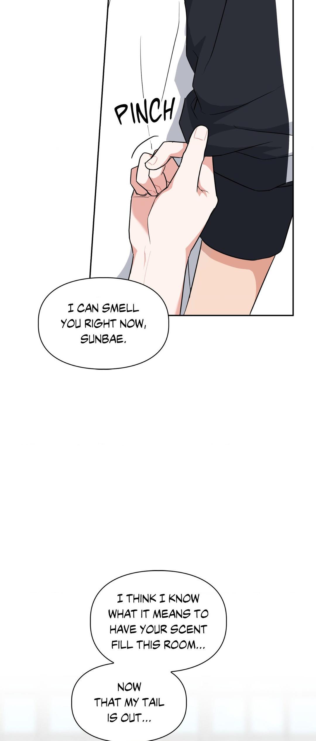 BAITS Chapter 51 page 42 - 
