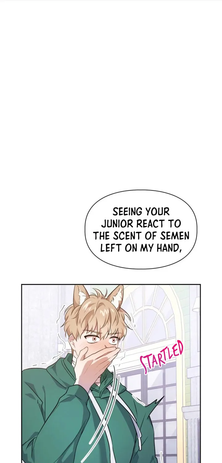 BAITS Chapter 6 page 1 - 