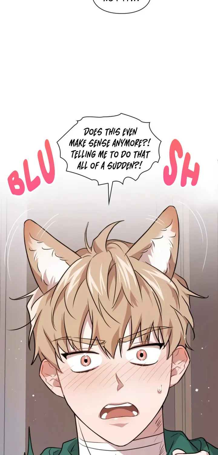 BAITS Chapter 6 page 35 - 