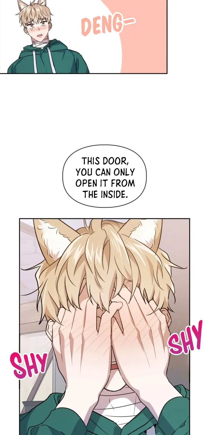 BAITS Chapter 6 page 39 - 