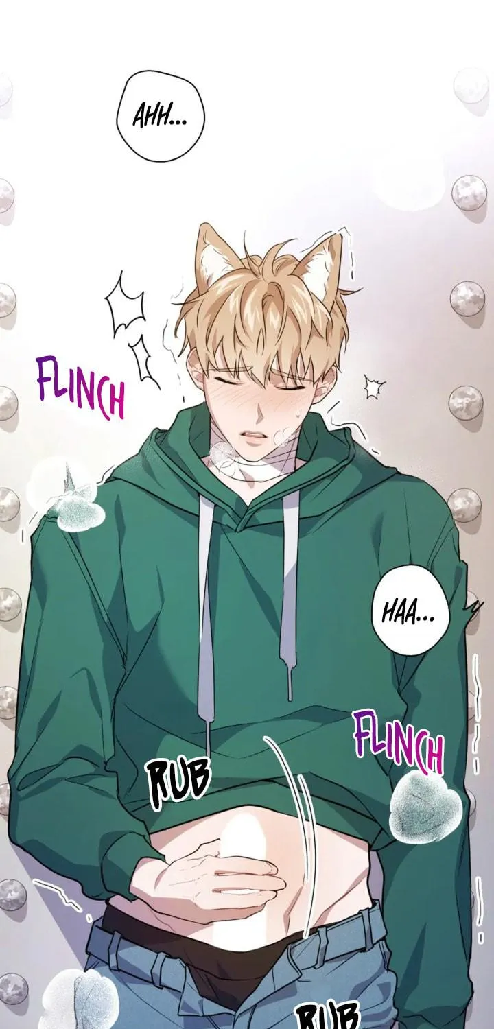 BAITS Chapter 6 page 48 - 