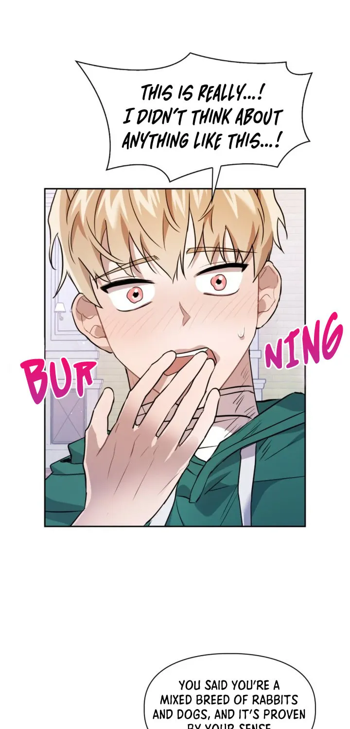 BAITS Chapter 6 page 6 - 