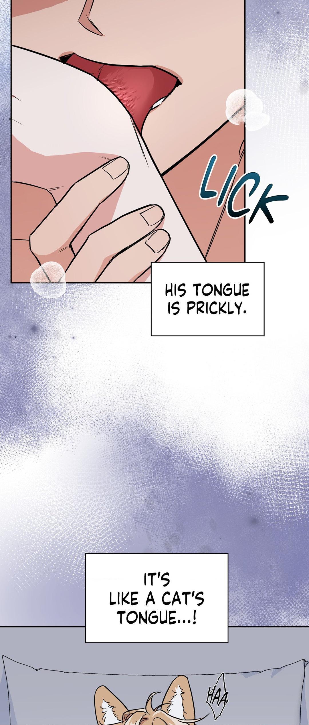 BAITS Chapter 61 page 13 - 