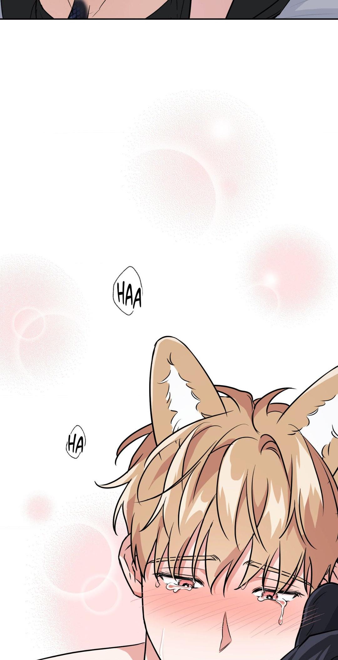 BAITS Chapter 63 page 26 - 