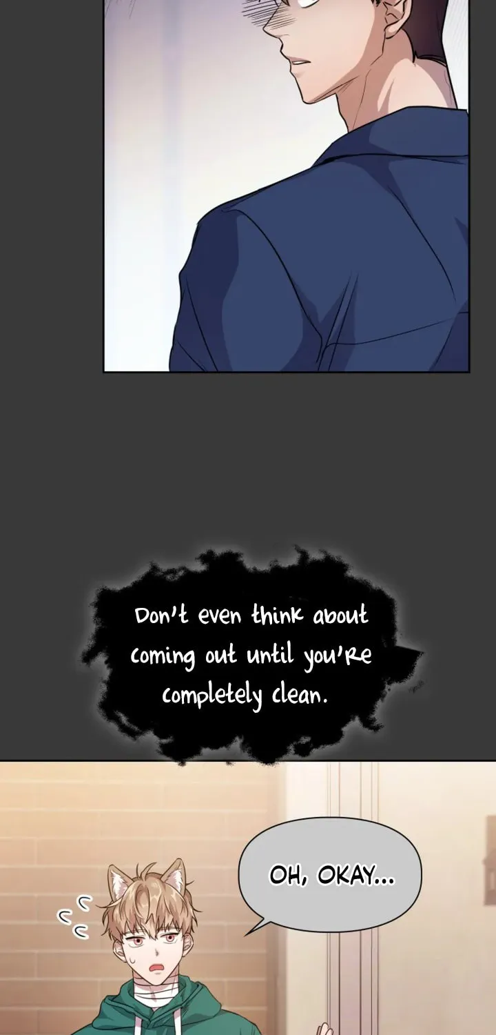 BAITS Chapter 7 page 41 - 