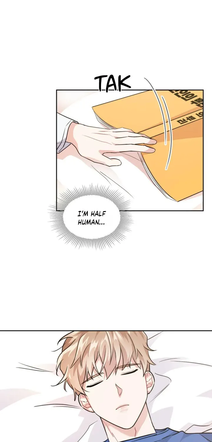 BAITS Chapter 7 page 6 - 