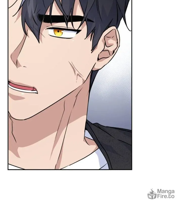 BAITS Chapter 8 page 42 - 