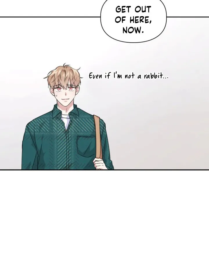 BAITS Chapter 8 page 49 - 