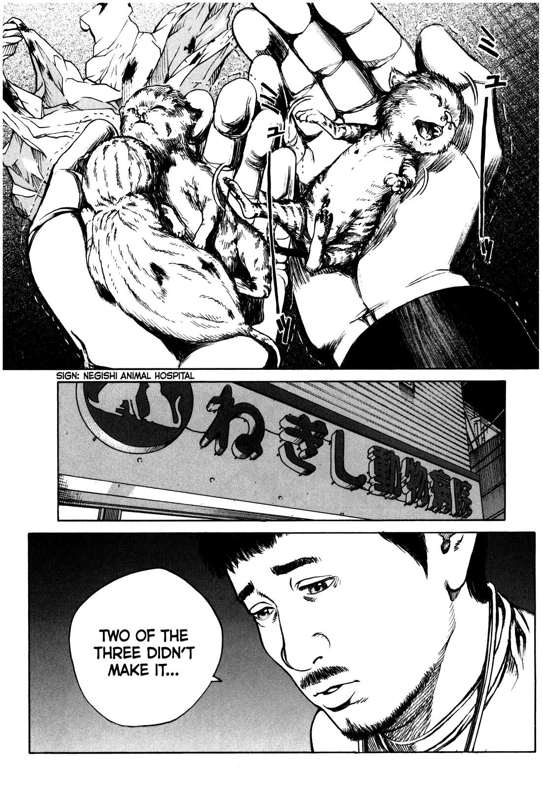 Bambino! Secondo Chapter 51 page 14 - 