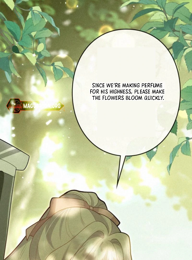 Banished Mother, Desired by the Crown Prince Chapter 11 page 14 - 
