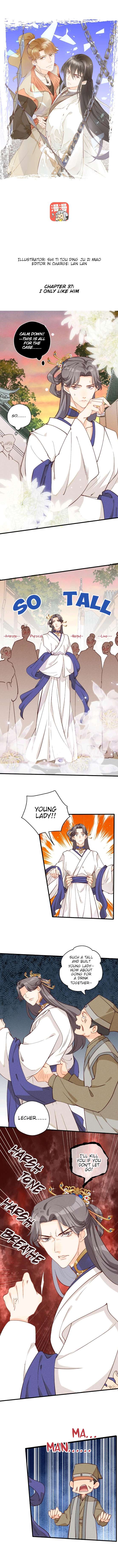 Baozao Mengzhu Qiao Mo Tou Chapter 37 page 1 - 