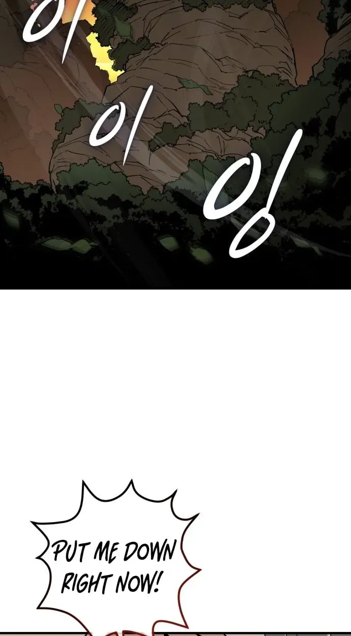 Bari, the thunder that awoke the stars Chapter 33 page 43 - 